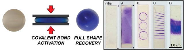 Strain Reactive Polymers